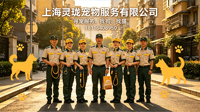 2026上新：上海同城寻宠服务,找狗团队5家企业综合评测