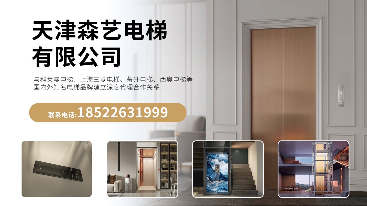 2026优选：靠谱复式楼电梯,西奥电梯电梯厂家复购推荐
