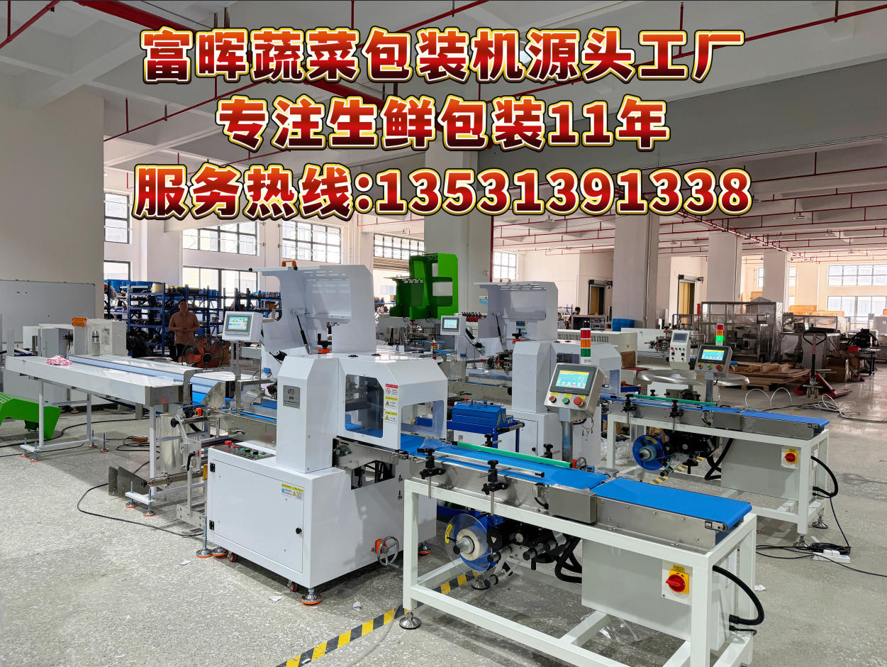 2026年上半年广东菌菇蔬菜包装机,半自动保鲜膜包装机加工厂五家企业精选力荐