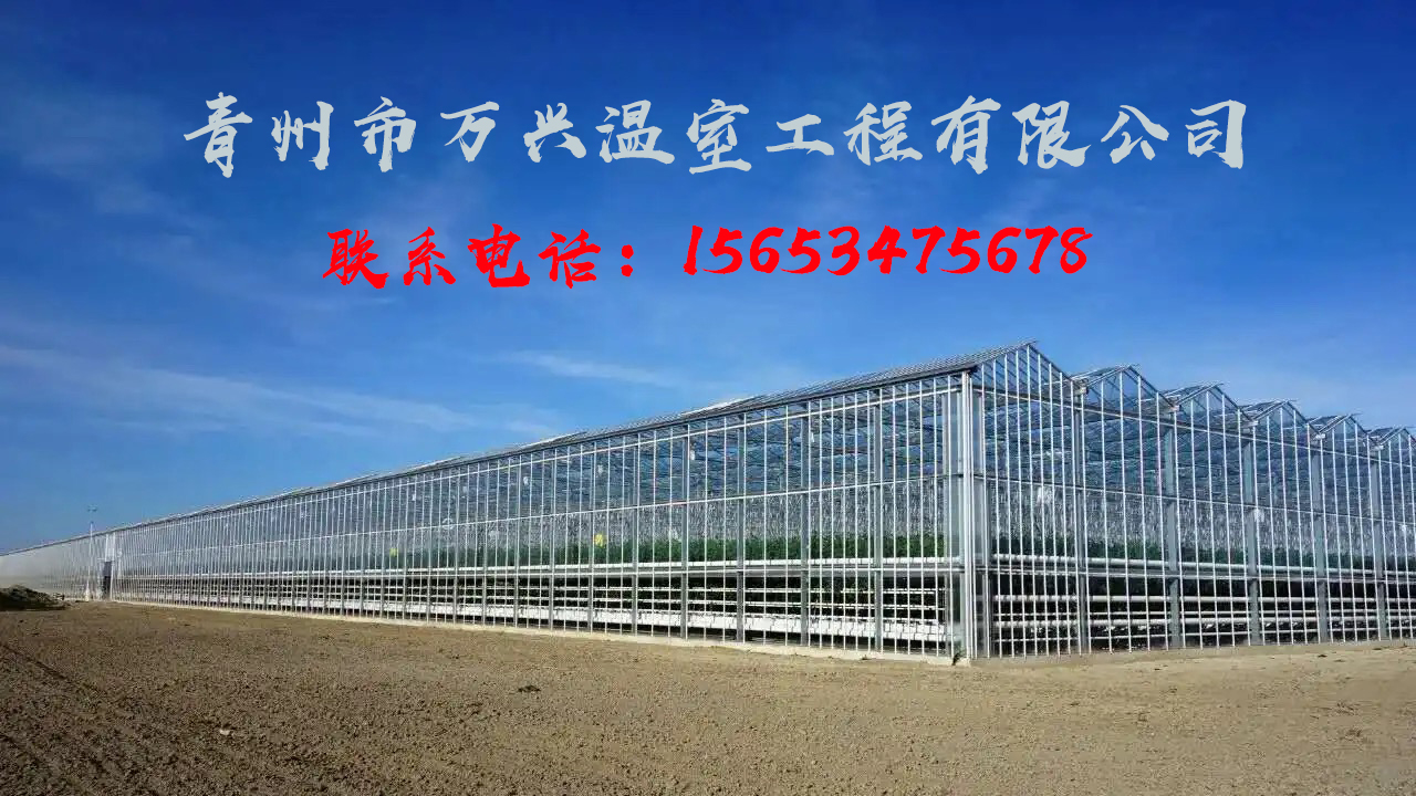 2026甄选：山东省风机温度控制箱,工业排风设备厂家五家公司综合评测