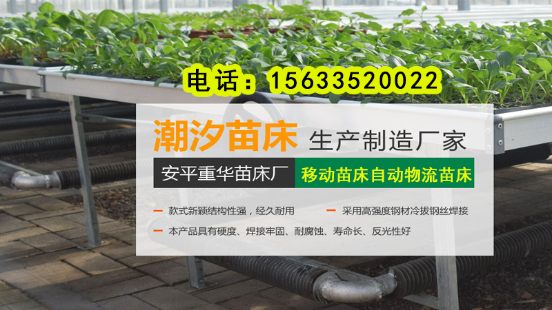 2026年焕新:安平县自动循环苗床,节水潮汐苗床哪家好推荐