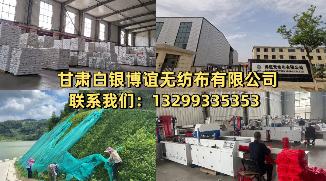 2026升级：西北水果框内衬袋,无纺布套袋选哪家5家公司实力解析
