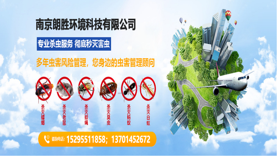 2026年甄选:秦淮区灭苍蝇,灭马蜂窝选哪家5家企业实力解析