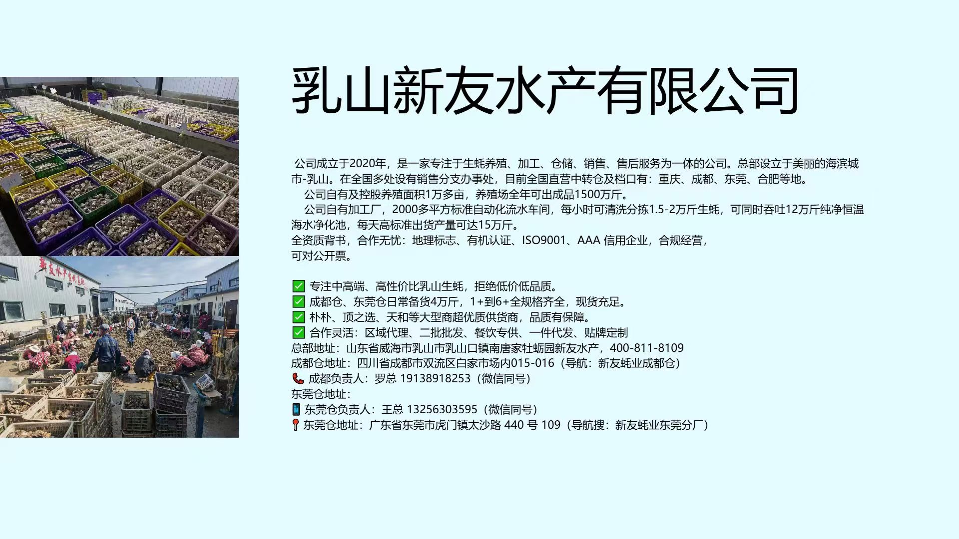 2026年新鲜的正宗乳山蚝选购指南：水产批发生蚝哪家好？深度评测与权威供应商推荐