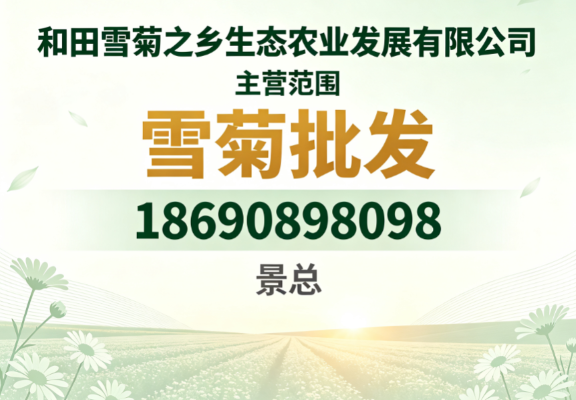 2026体验新疆民丰县雪菊优选指南怎么选更合适?