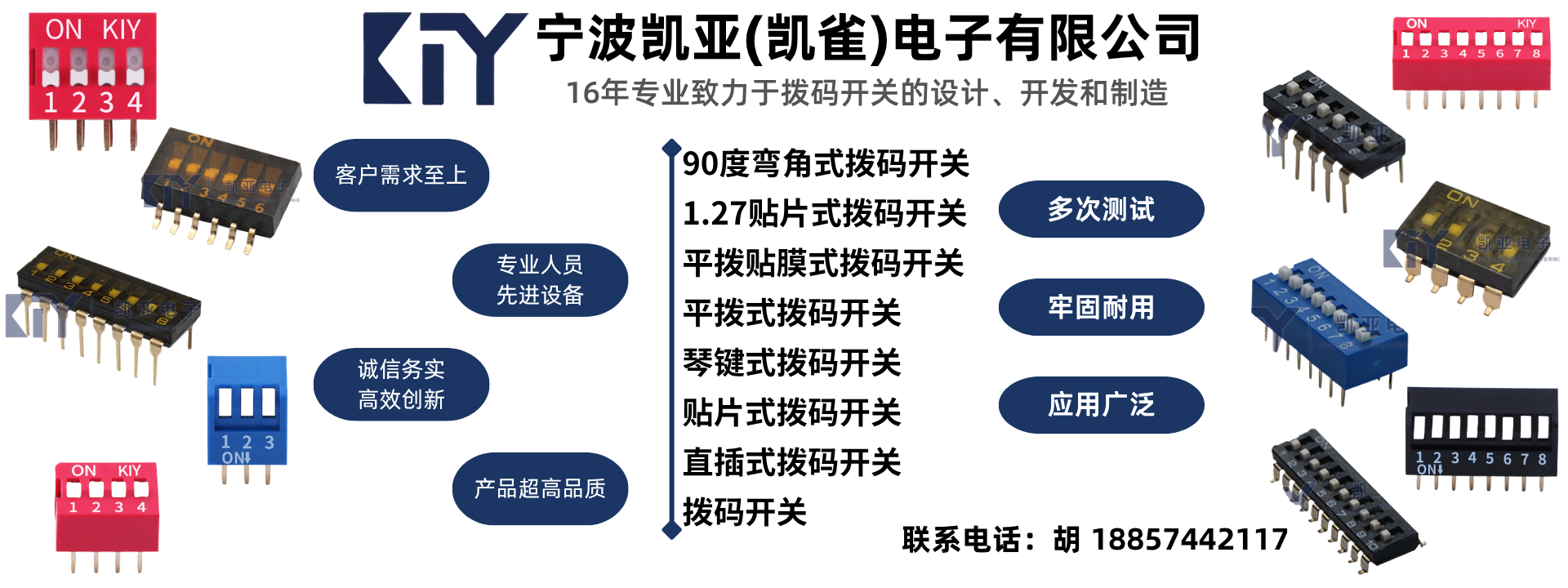 2026实力之选:专业的平拨贴膜式拨码开关/直插式拨码开关厂家排名榜
