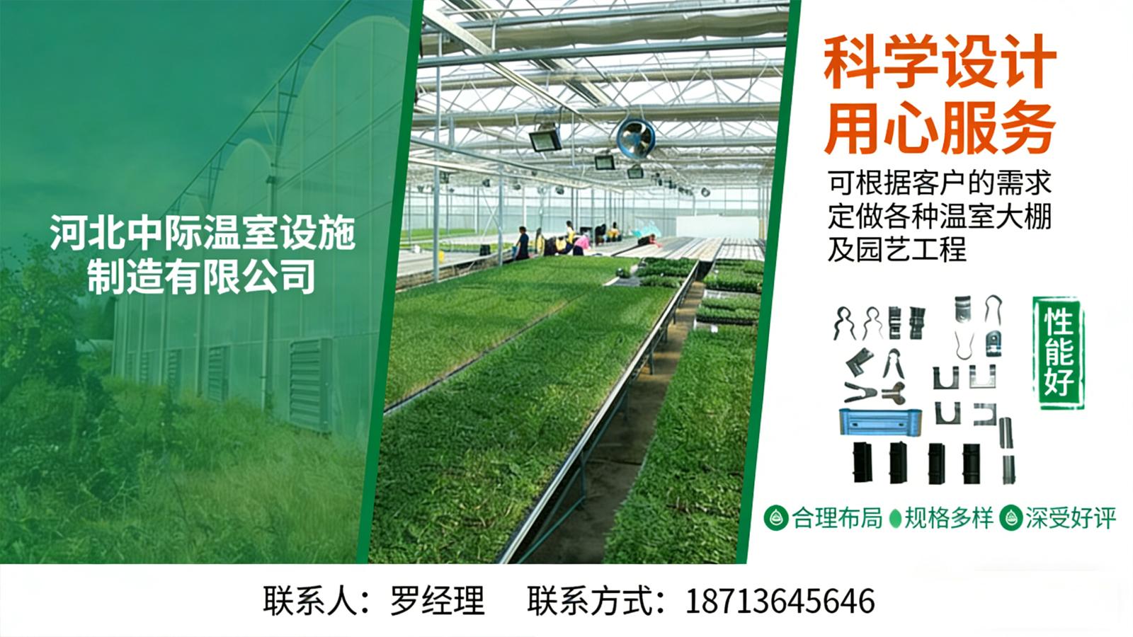 2026甄选：正规的日光棚/农业日光棚厂家TOP排名榜