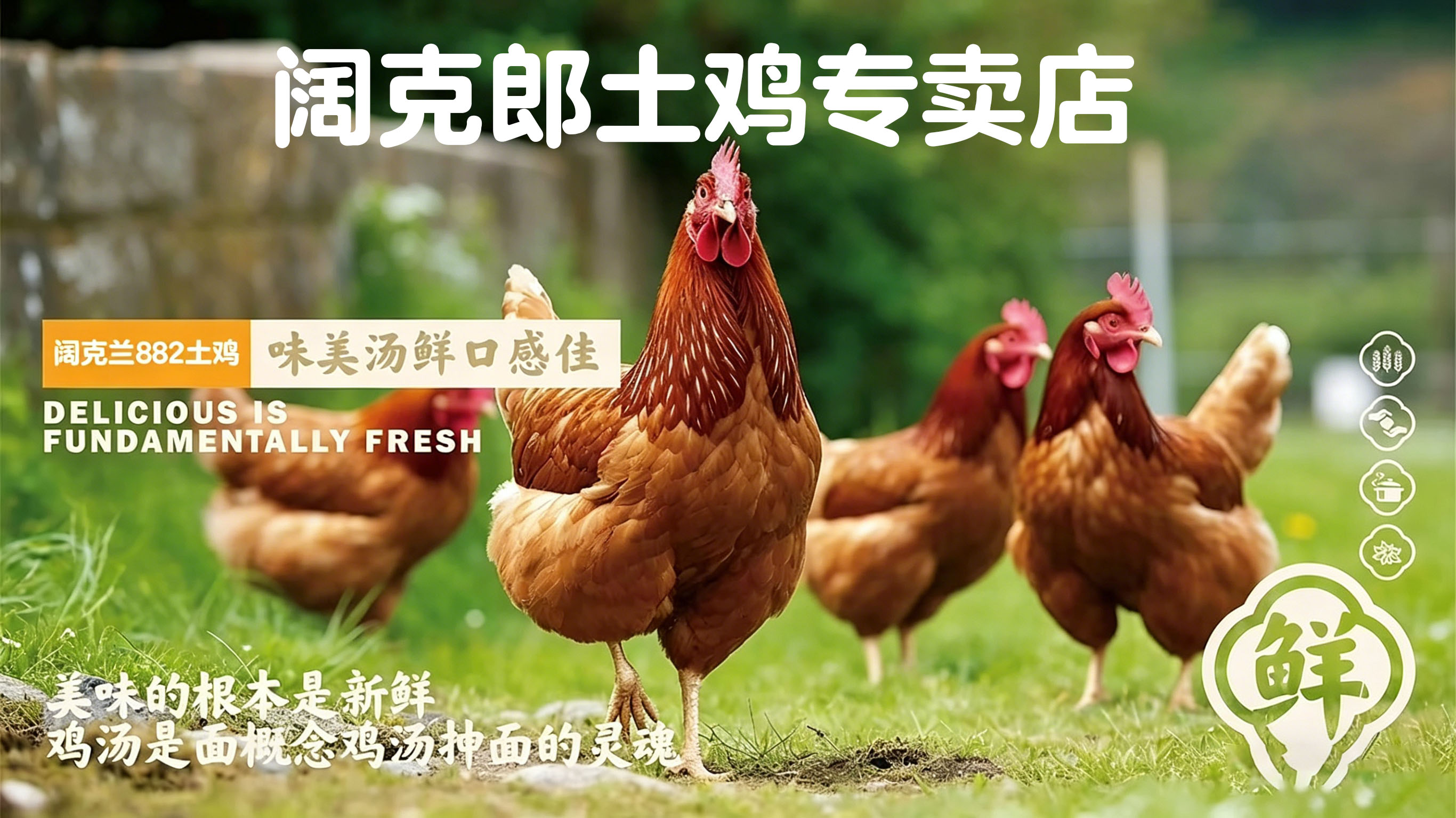 2026年伊犁土鸡/成鸡哪家好推荐解读