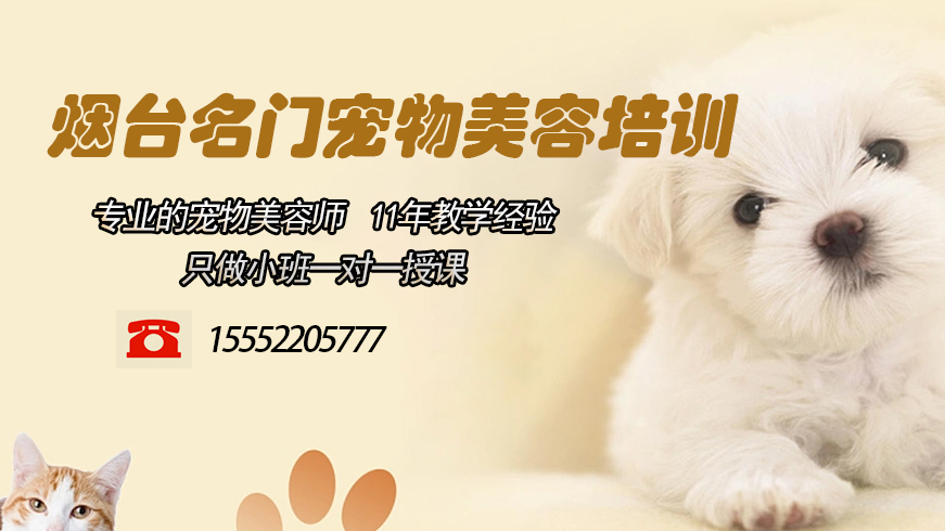 2026精选：有实力的学宠物美容哪家靠谱用户力荐