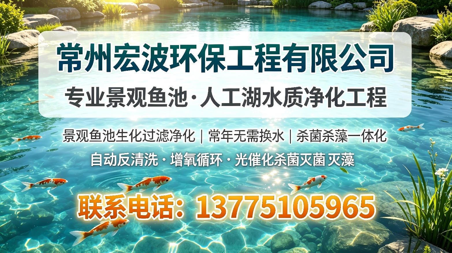 2026指南：专业的鱼池过滤池直销热门推荐解读