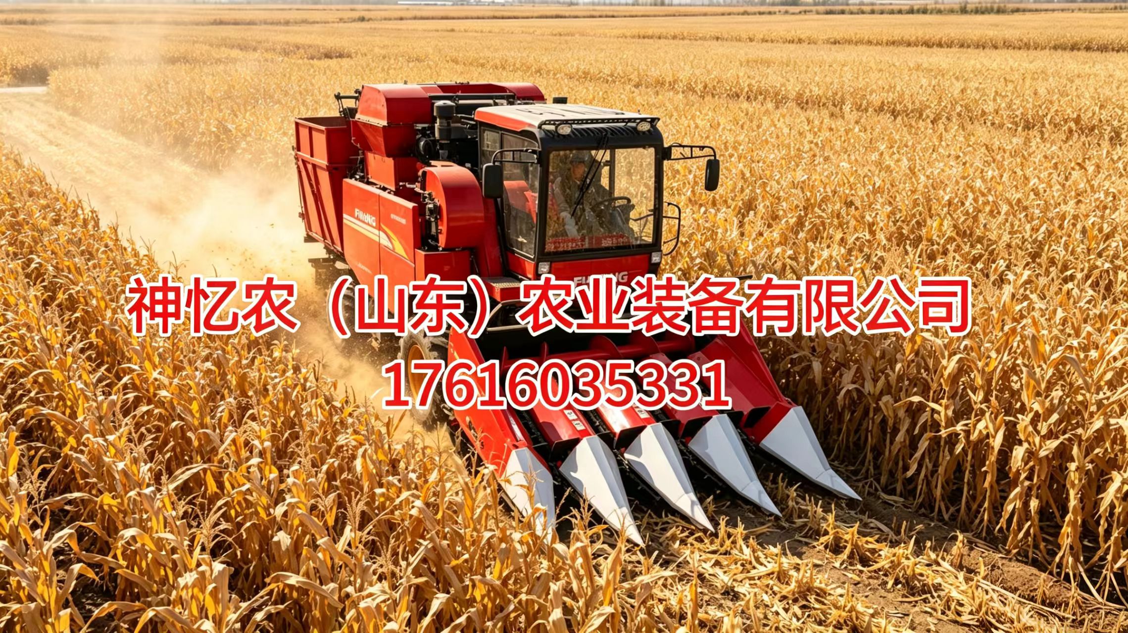 2026性价比之选:莱州沙河四驱两行玉米收割机怎么选优选推荐