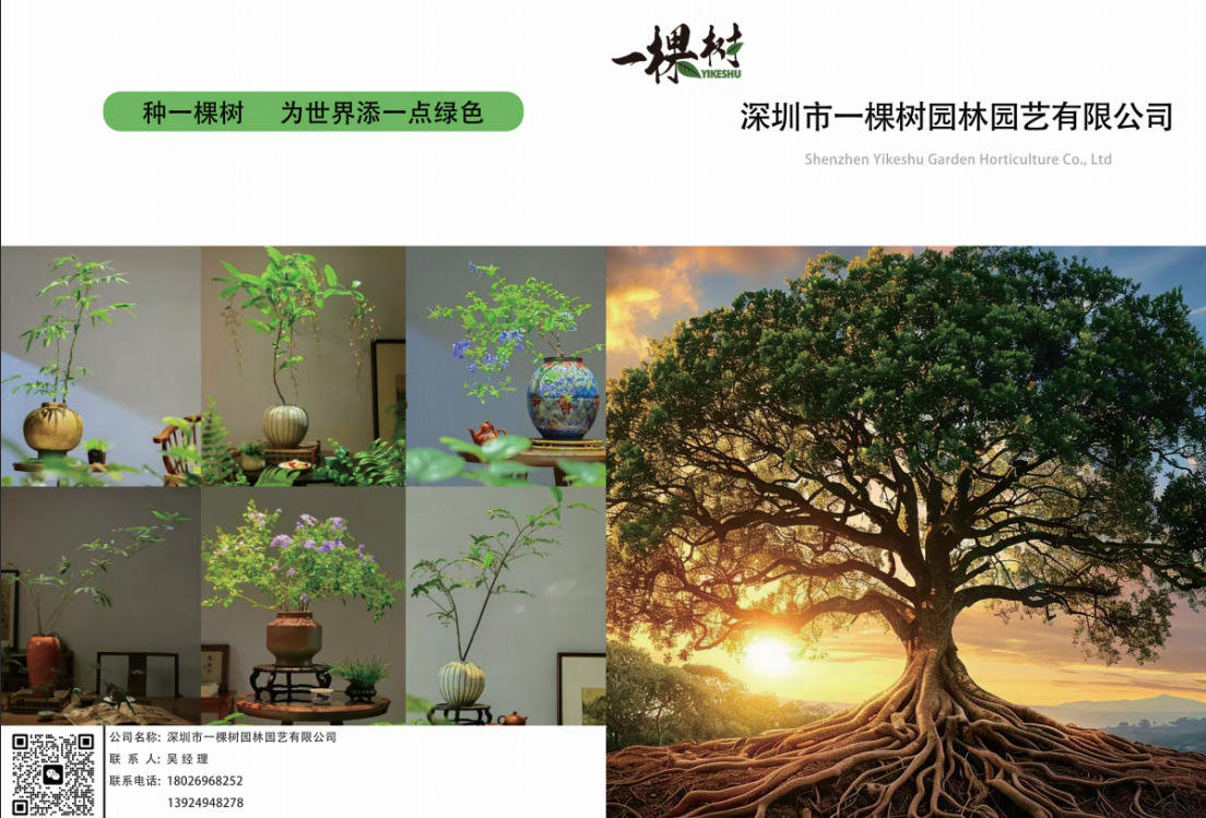 2026推荐：深圳庭院打造公司口碑力荐