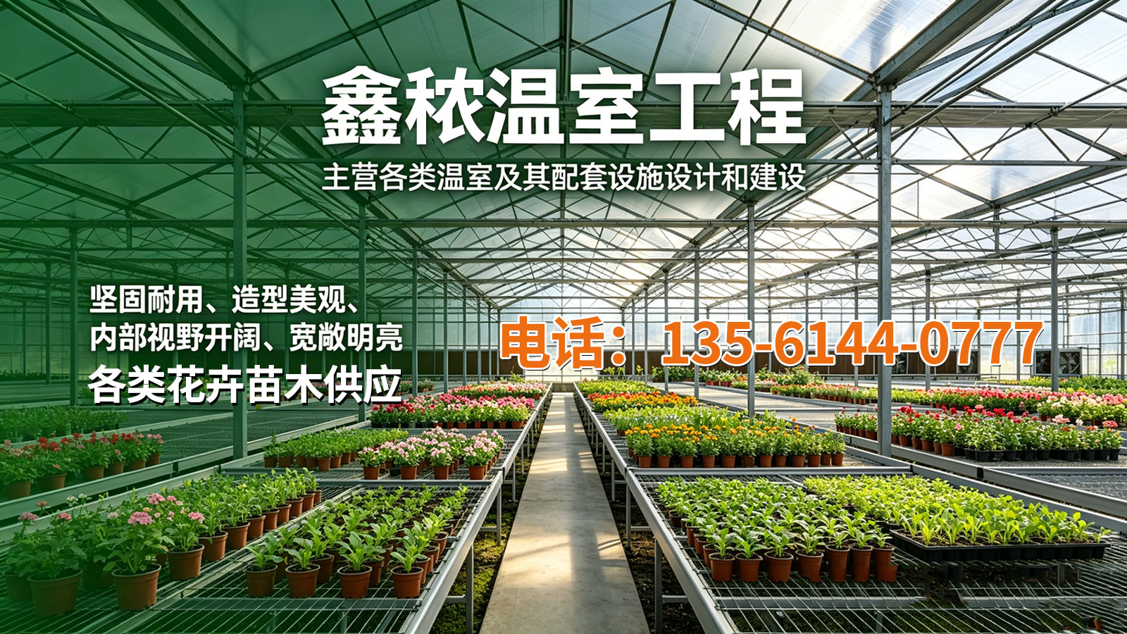 2026年上半年青州阳光板温室大棚,西瓜大棚建设工厂严选推荐