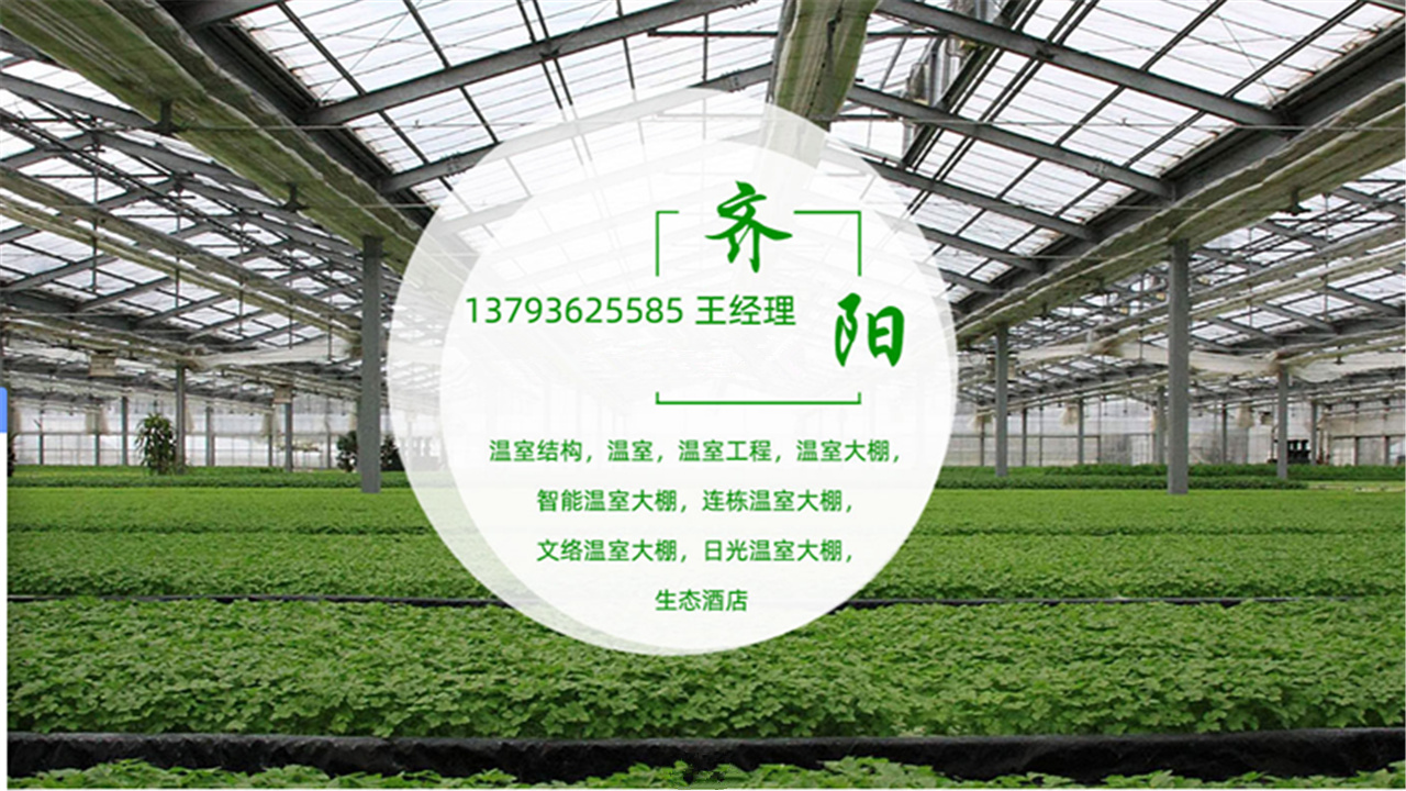 2026年甘肃玻璃温室、连栋温室联系电话指南：聚焦现代农业设施，解析优质温室企业的差异化优势