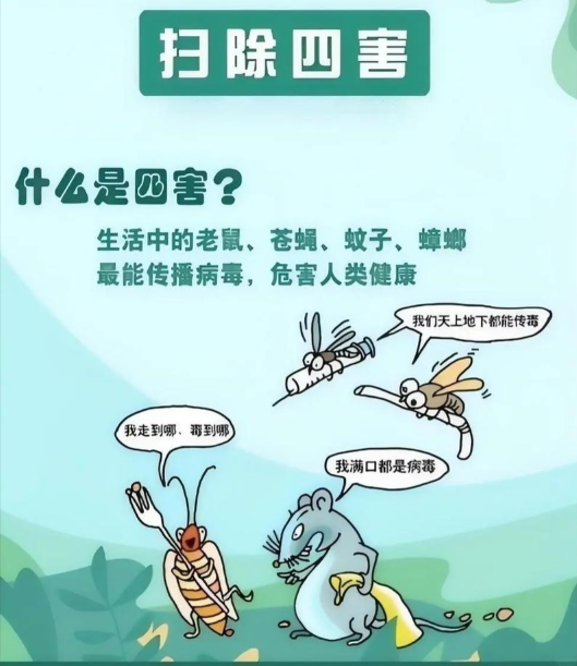 2026年庄河市灭老鼠、消杀蟑螂服务公司哪家好？基于PCO行业数据与实地防治能力的深度推荐指南