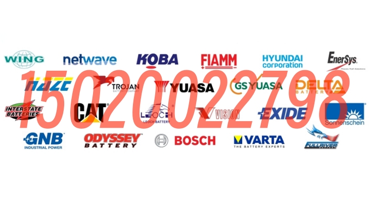 好用的在线双变换 UPS电源与工业专用 UPS电源哪家靠谱？2024专业选购与企业深度解析