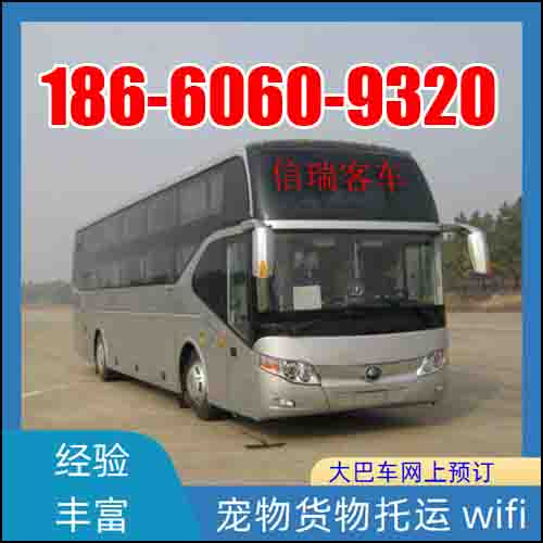 全程高速/龙口到洛阳的客车大巴车多少钱班次查询表（乘车路线+票价/发车时刻表+宠物托运 货物运输）