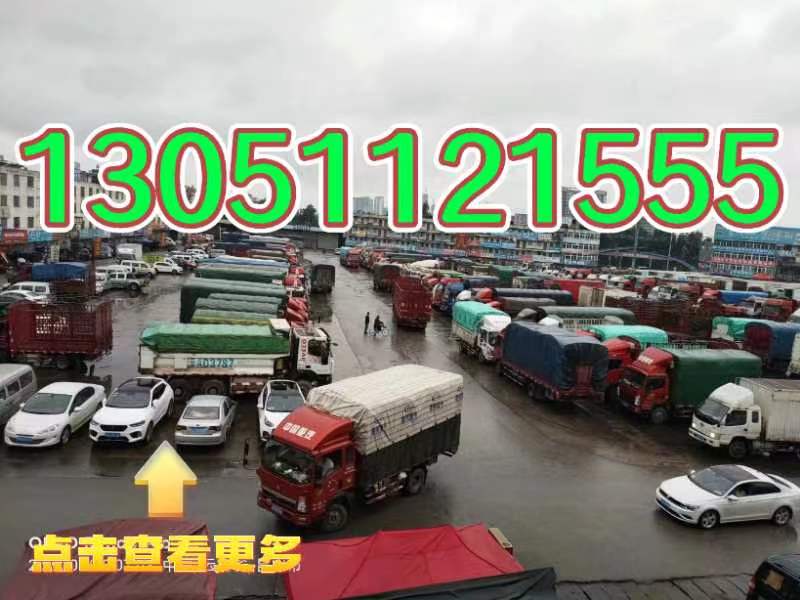 新国展物流公司，新国展电动车托运-物流公司高效准时「直达往返」2026排名一览