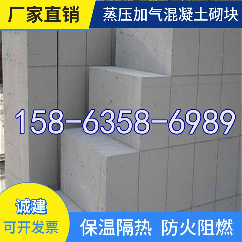 莘县煤灰砖小灰砖生产直发2027新标「专人施工」