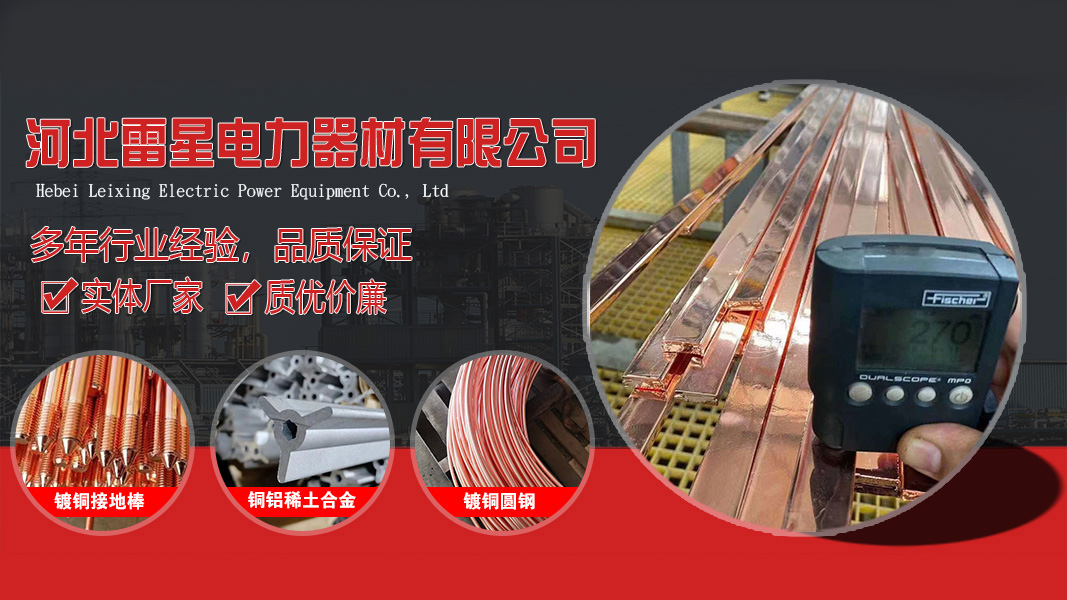 2026优选：河北镀锡扁排/镀锡圆线厂TOP五大推荐榜单解读