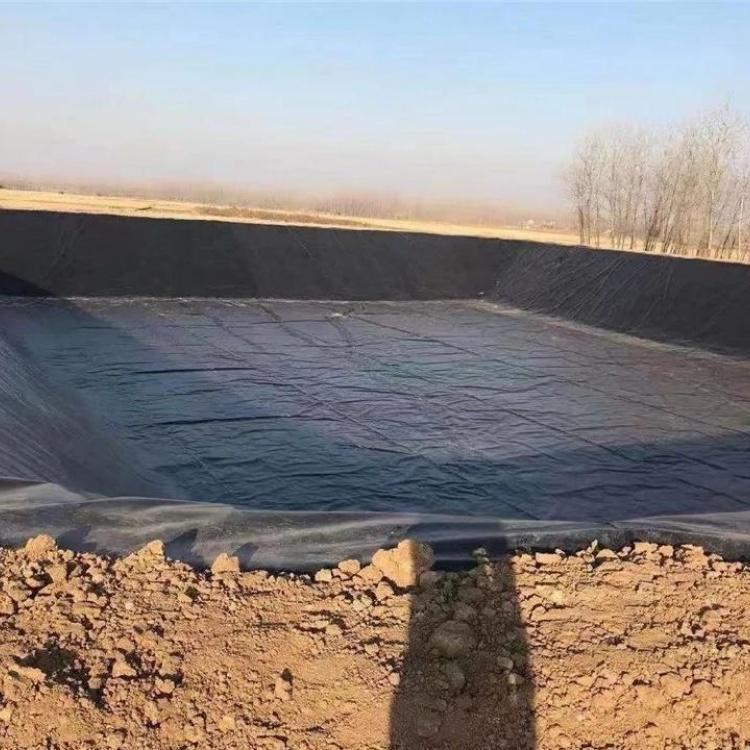 2026年实力之选:兰州土工膜厂推荐榜