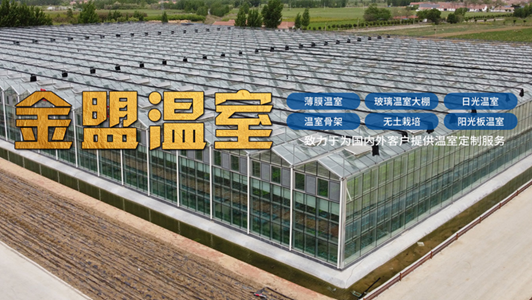 2026解析：新型智能温室/薄膜温室厂家榜单推荐观察