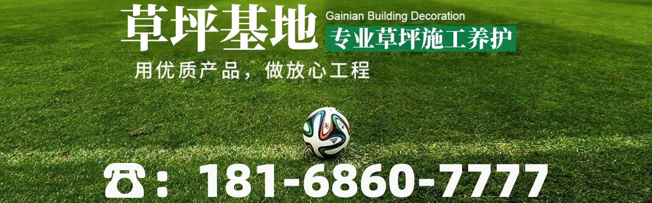 护坡绿化草种批发