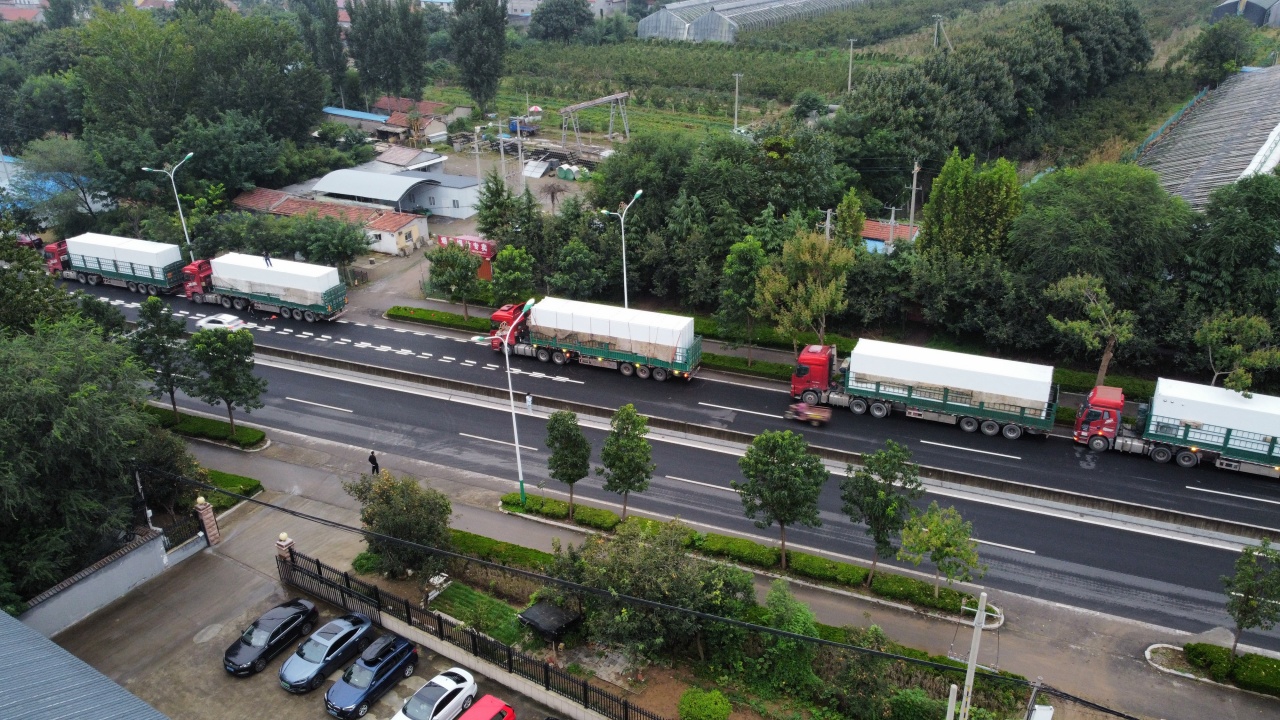 2026年山东自动化水培植物设备,智能化水培菌菇设备厂家TOP五大排名榜解读