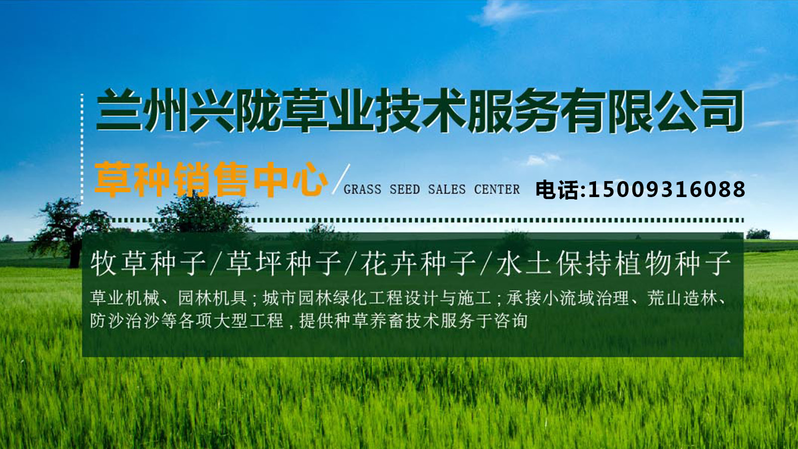 2026甄选：可靠的白刺水土保持植物种子/满天星花卉种子公司口碑TOP榜单