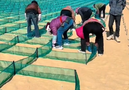 2026解析：新疆防尘网孔径/堆料场防风抑尘网实力厂家排名观察