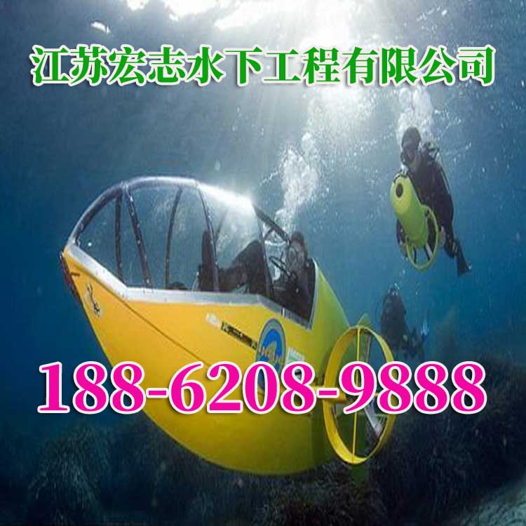 德宏水电站大坝检修公司2026德宏诚信经营