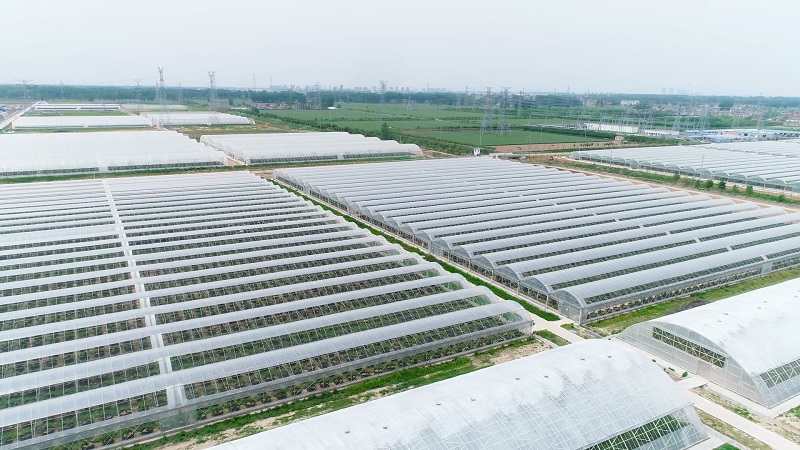 2026焕新:能增产的大棚农膜/塑料纸生产厂家TOP排名榜