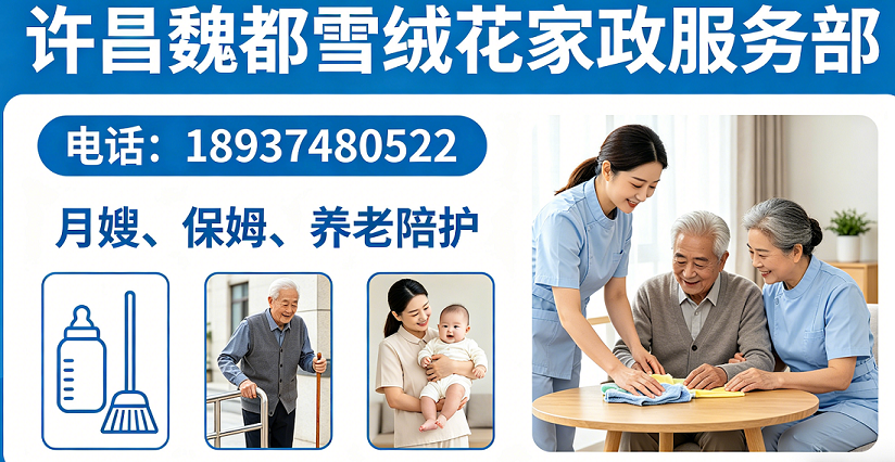 2026上新：襄城县居家养老陪护公司排名最新盘点