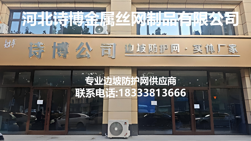 2026指南：专业的SNS柔性防护网生产厂家榜单