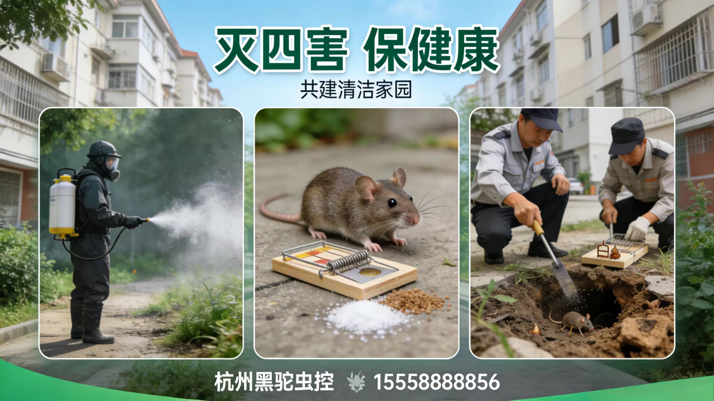 2026推荐：杭州灭蟑螂/灭白蚁公司榜单推荐观察