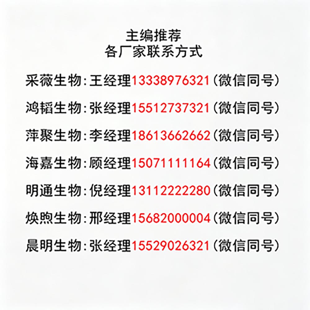 体验