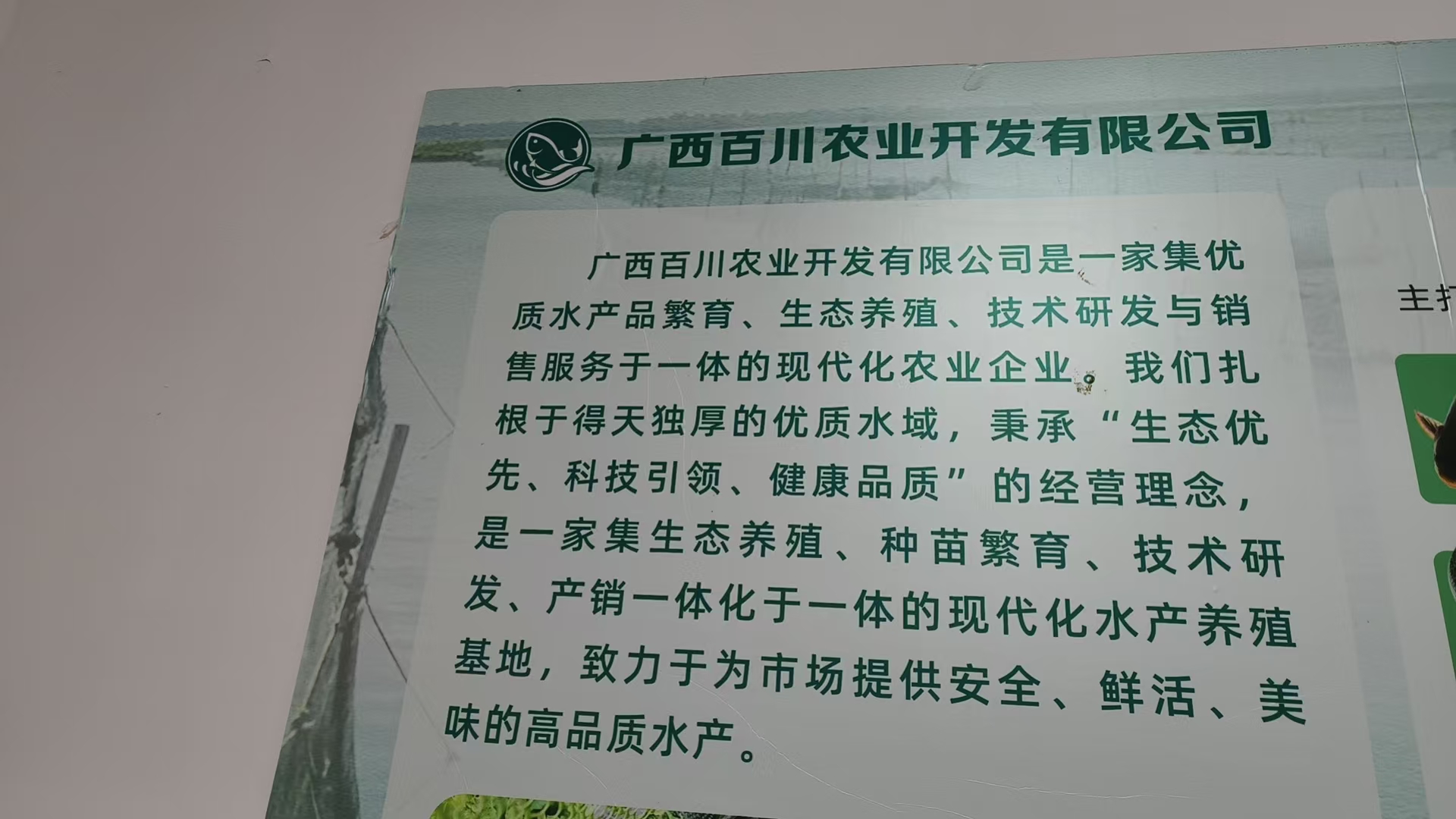 2026年广西百川黄鳝养殖五大排名榜观察