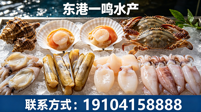 2026年甄选:东港新鲜海螺肉批发商用户力荐