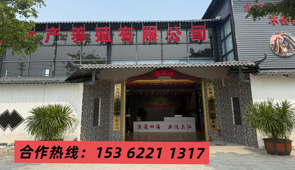 2026年实力之选:广东黄鳝销售,水产养殖销售哪家口碑好多人种草推荐