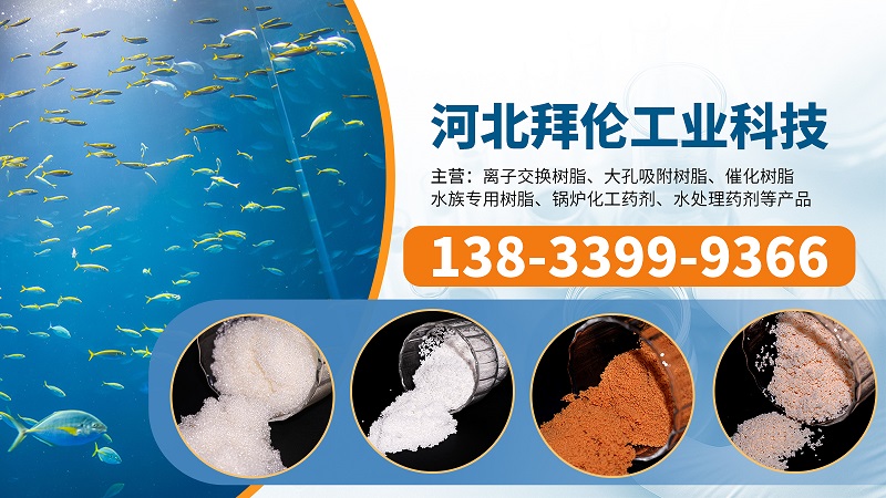 2026甄选:评价高的阴离子交换树脂/201X7阴离子树脂联系方式人气推荐