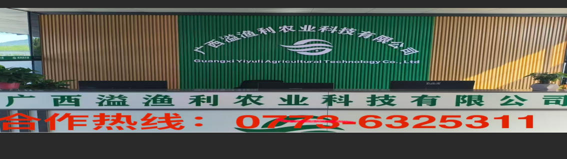 2026性价比之选:广东黄鳝苗养殖,黄鳝苗驯化哪家口碑好实力推荐