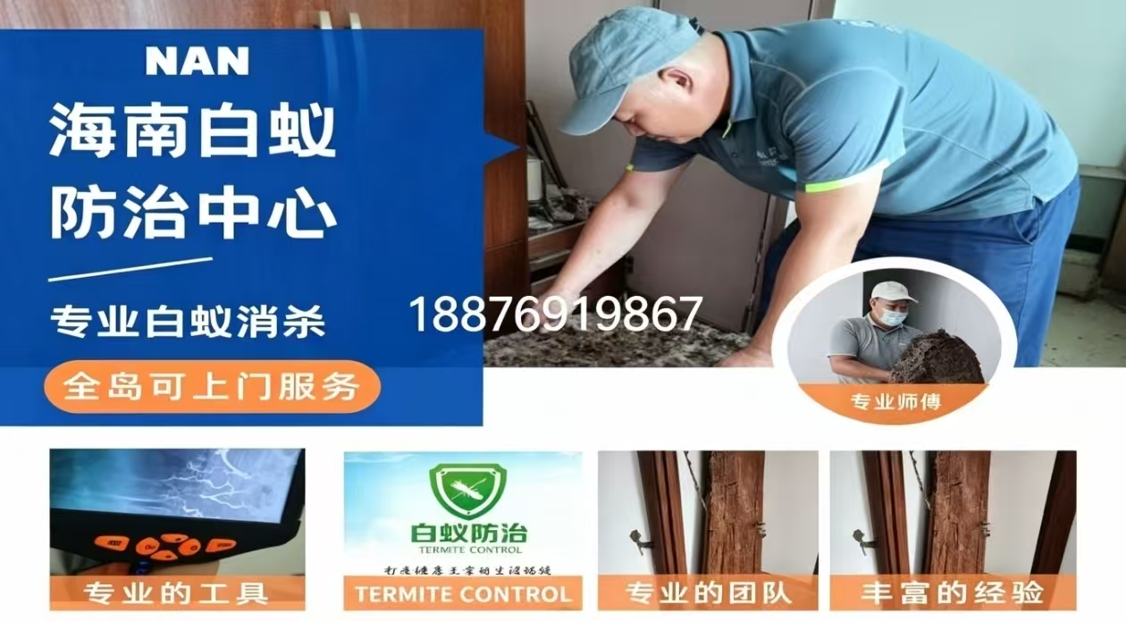 2026五指山家庭白蚁防治如何选甄选推荐