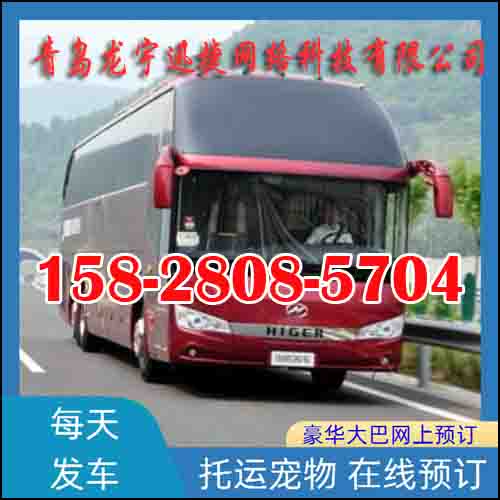 长春到舟山长途客车班次查询表（直达+票价/乘车指南）2026票价查询