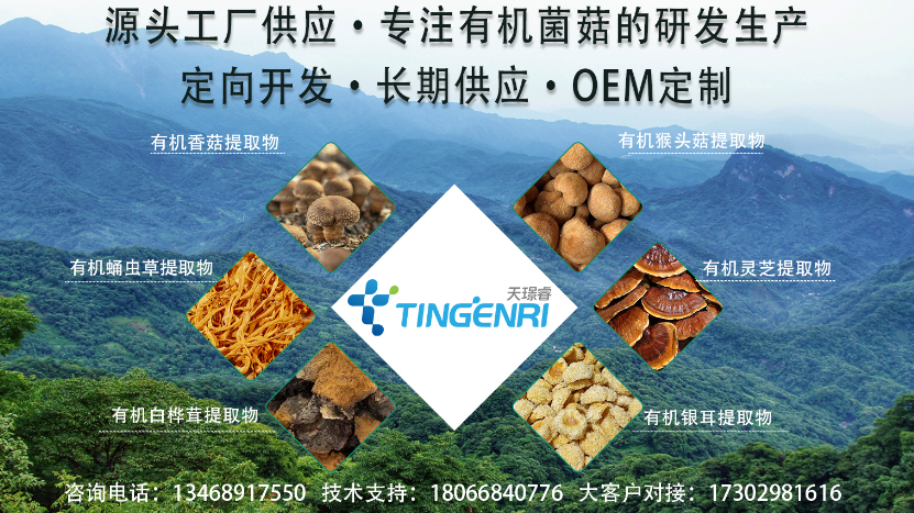 2026质量好的香菇提取物食品级原料,香菇提取物菌丝体怎么选严选推荐